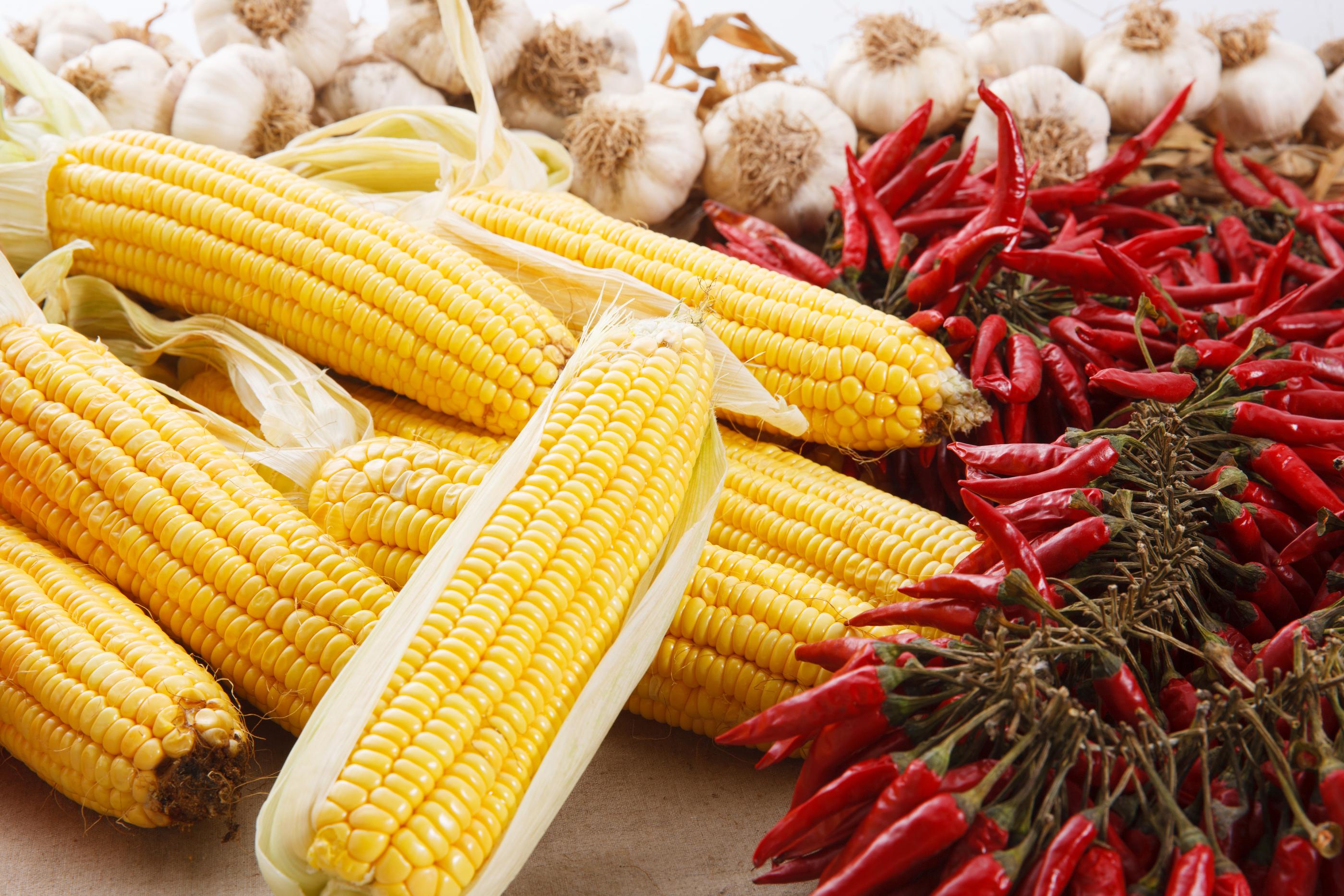 韓国名節、名節、チュソク、ハンガウィ、チュンチュジョル、カベ、嘉俳、仲秋節、秋夕、中秋の名月、お盆、韓国のお盆、お盆とチュソク、お盆と秋夕、韓国のお盆、チュソクの起源、秋夕の起源、チュソク別の言い方、秋夕別の言い方、クリエイトリップ、お墓参り、チャプチェ、韓国料理、韓国ドラマ、チュソクの食べ物、チュソクのプレゼント、チュソクコロナ、コロナ、韓国コロナ